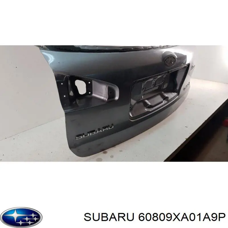  Subaru 60809XA01A9P цена, от 169.30 USD
