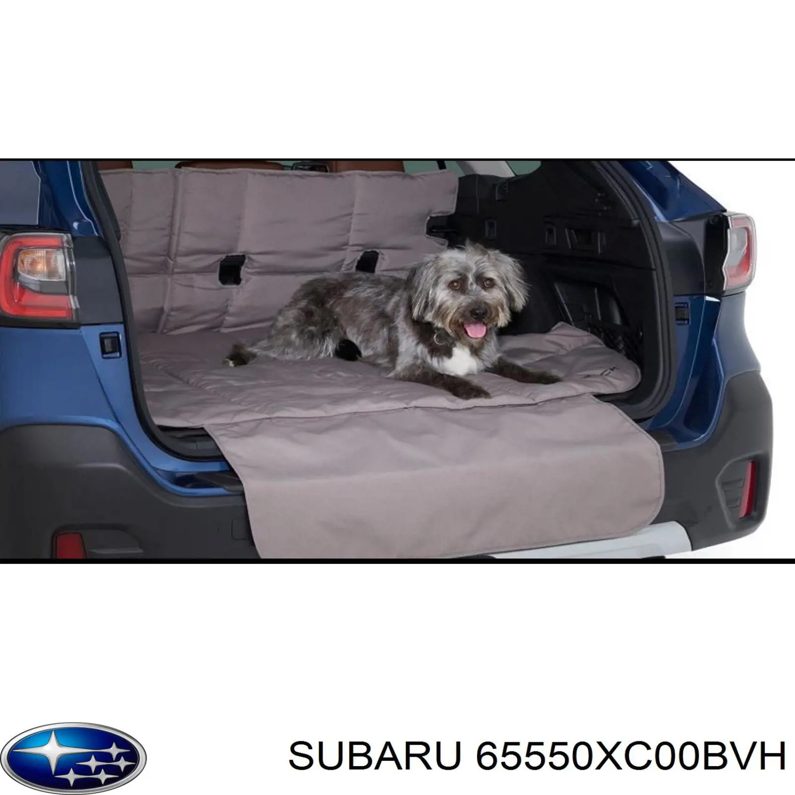 65550XC00BVH Subaru 