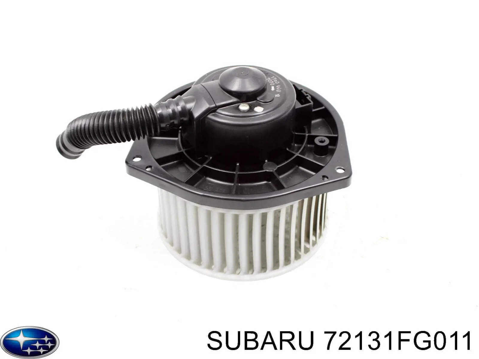  72131FG011 Subaru