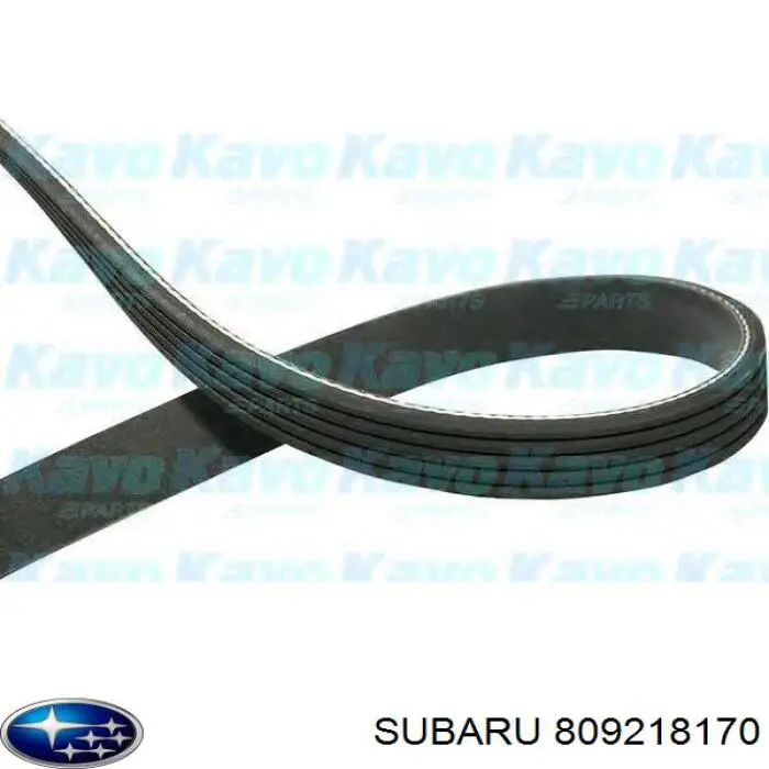 Клиновый ремень Subaru 809218170 цена, от 7.33 USD