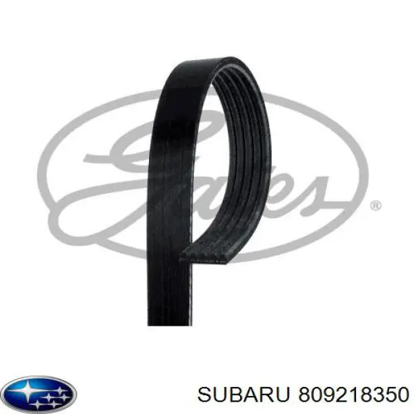 Ремень генератора 809218350 Subaru