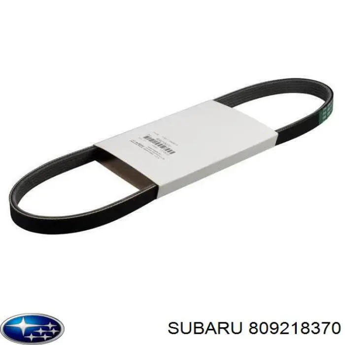  809218370 Subaru