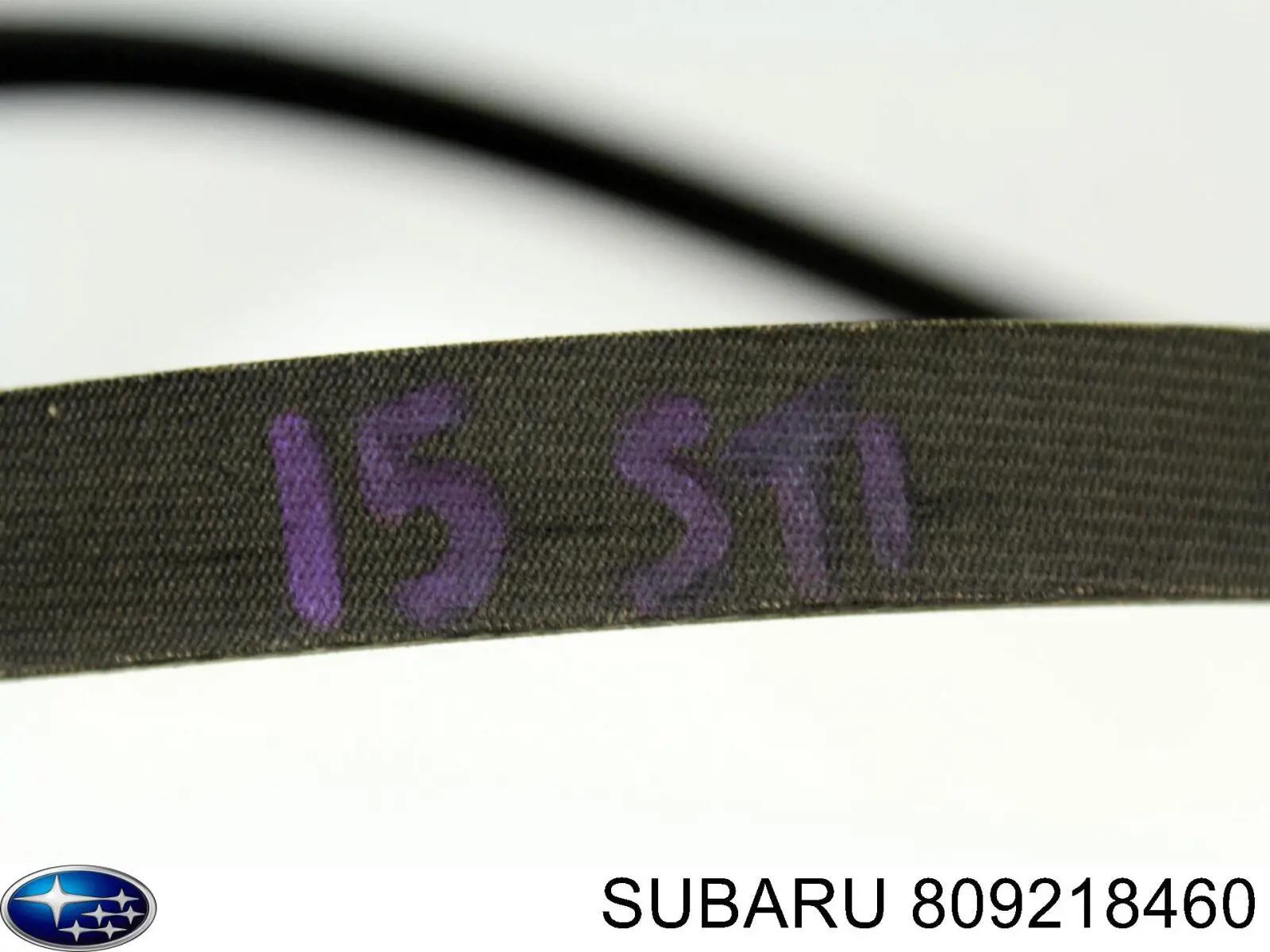 Ремень агрегатов приводной Subaru 809218460