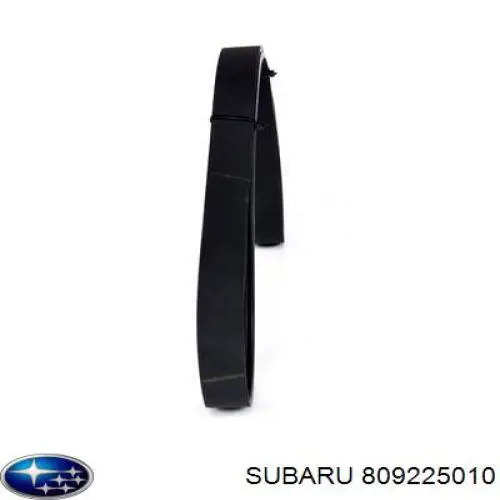 809225010 Subaru