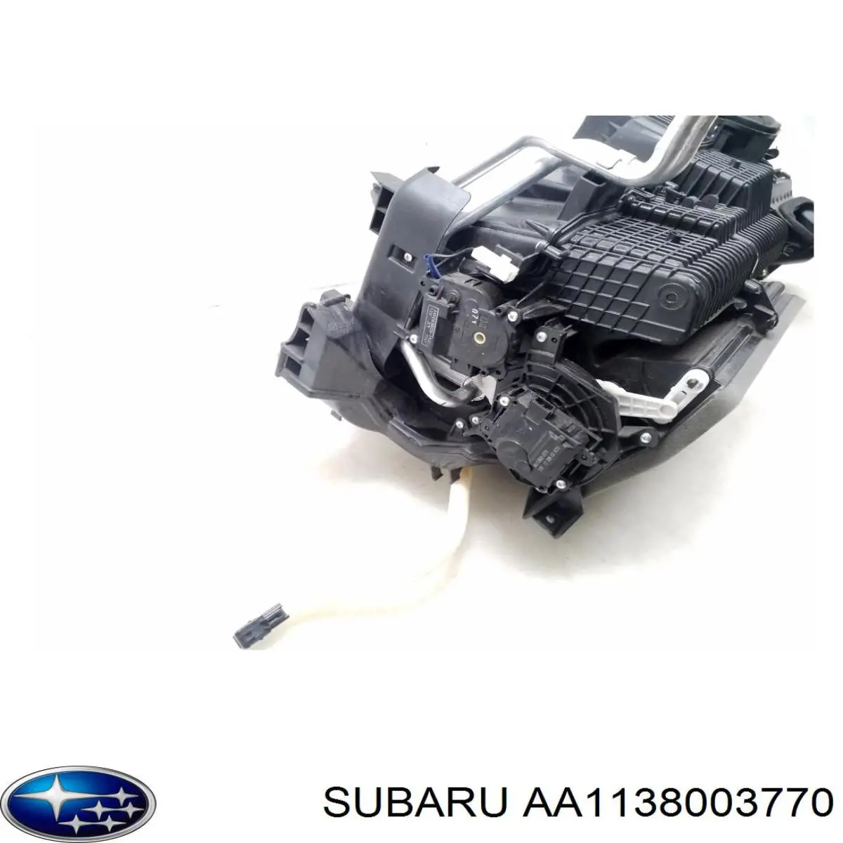 AA1138003770 Subaru 