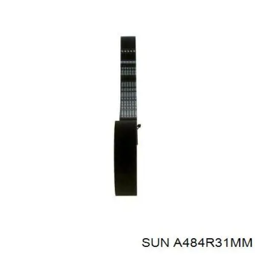 Купить A484R31MM SUN Ремень газораспределительного механизма