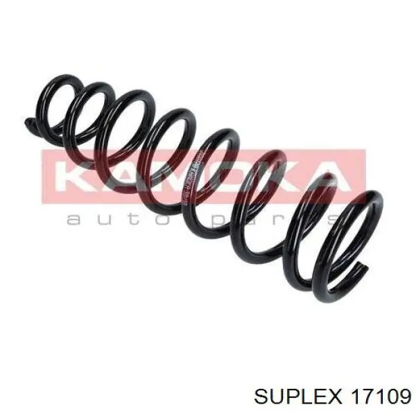 17109 Suplex