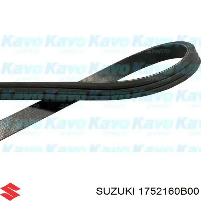 Клиновый ремень Suzuki 1752160B00 цена, от 6.18 USD