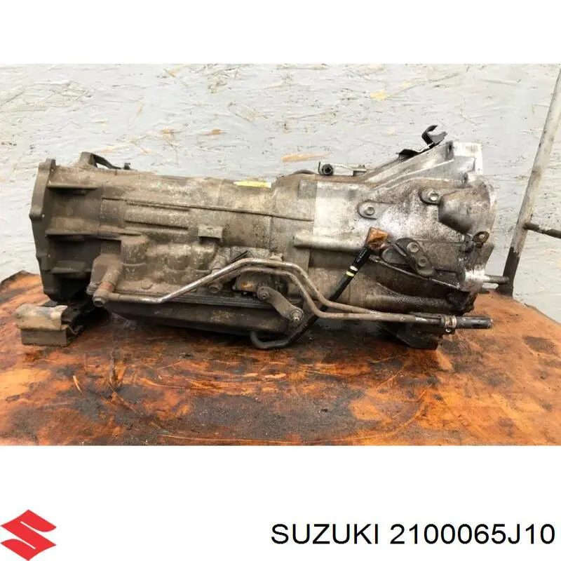 2100065J10000 Suzuki 