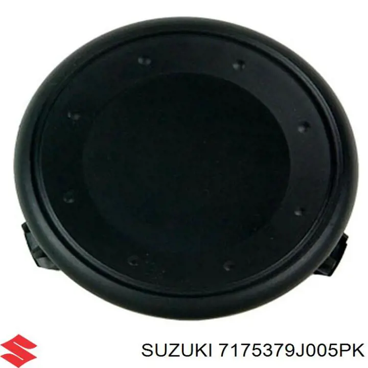 7175379J005PK Suzuki 