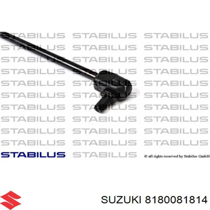 Амортизатор задней двери Suzuki 8180081814 цена, от 13.72 USD