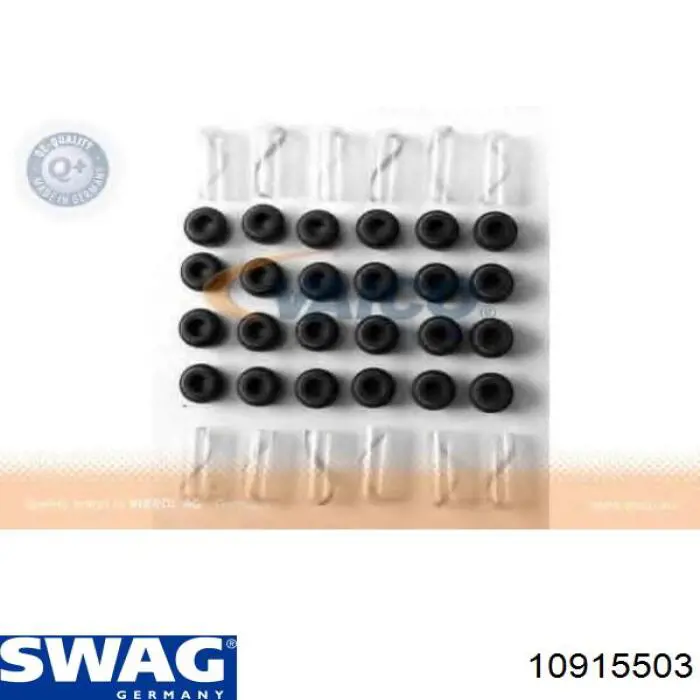 10915503 Swag