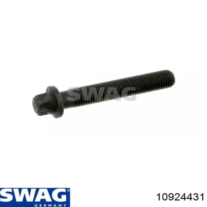 Купить 10924431 Swag Болт ГБЦ