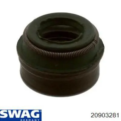 20903281 Swag