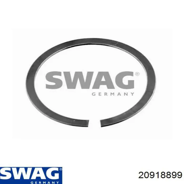  20918899 Swag