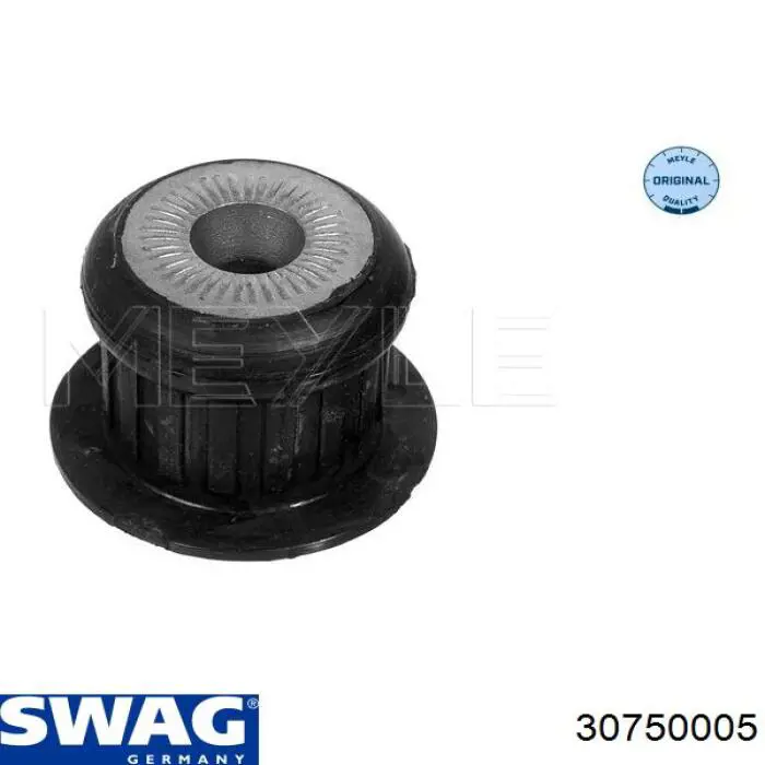 30750005 Swag
