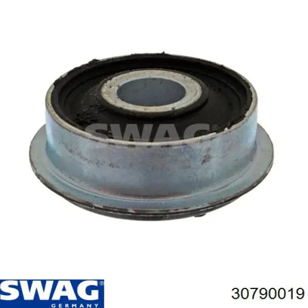 30790019 Swag