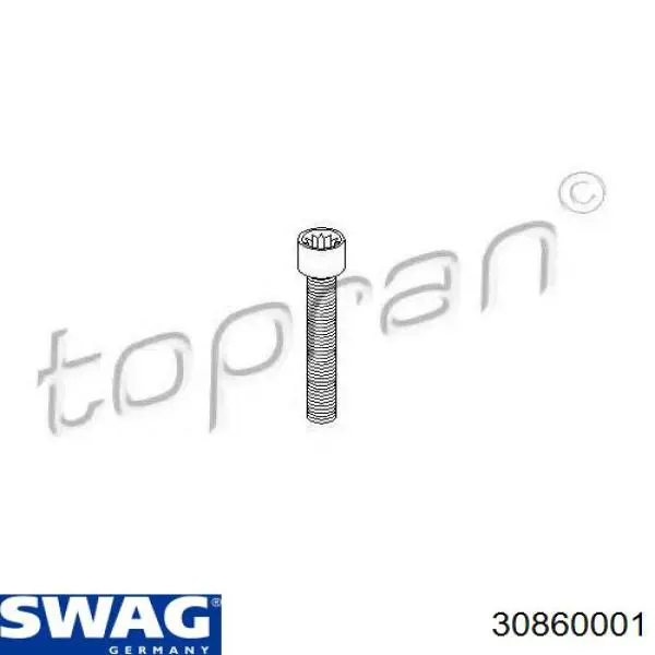 Купить 30860001 Swag Болт (гайка) крепежа