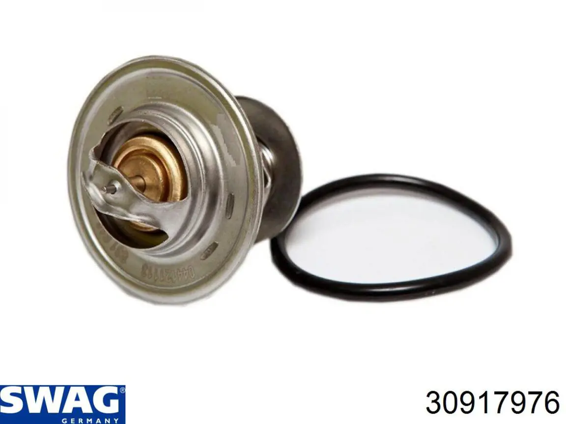 Термостат в корпусе Swag 30917976 цена, от 7.67 USD