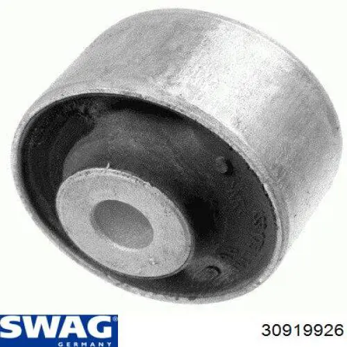 30919926 Swag