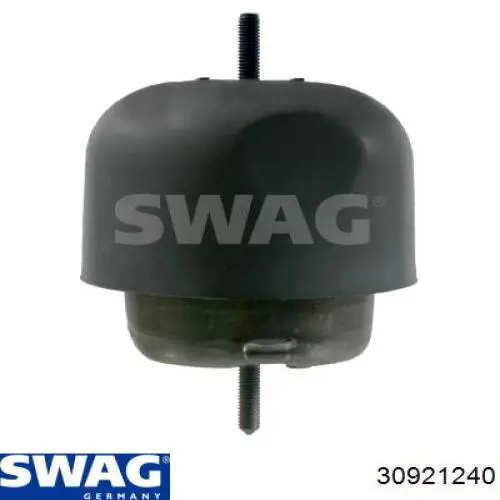 30921240 Swag