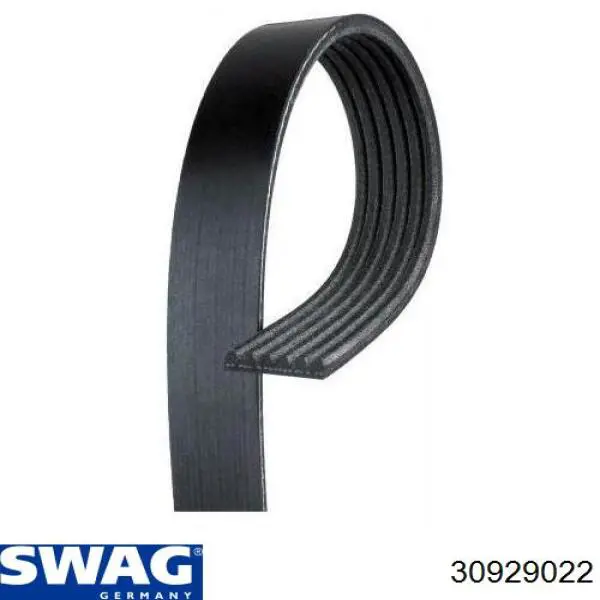 Клиновый ремень Swag 30929022 цена, от 18.92 USD