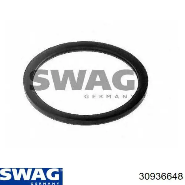 Термостат в сборе Swag 30936648