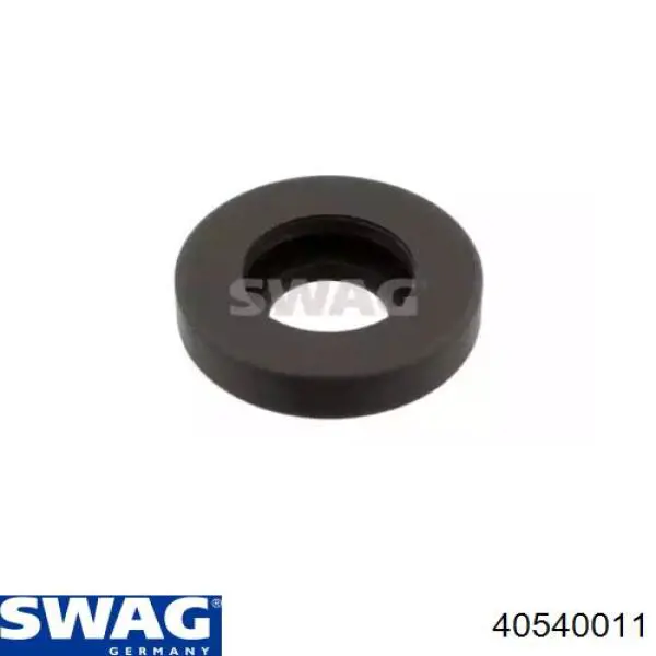 40540011 Swag