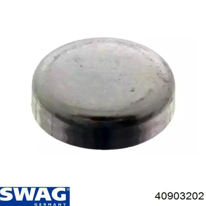 40903202 Swag заглушка гбц/блока цилиндров