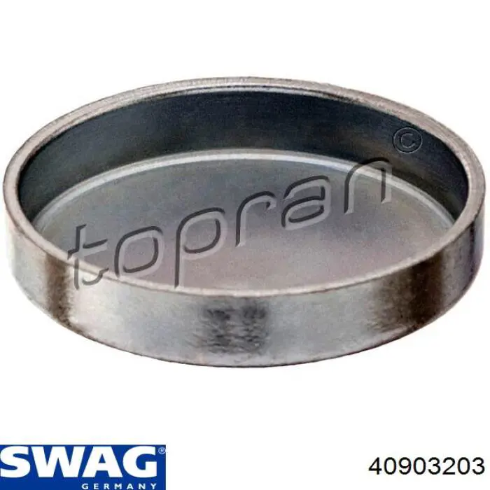 Купить 40903203 Swag Заглушка ГБЦ