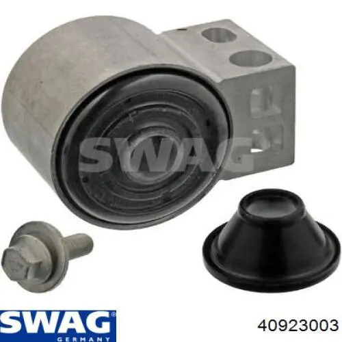40923003 Swag