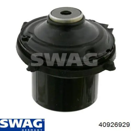 40926929 Swag