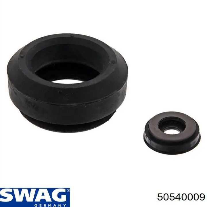 50540009 Swag