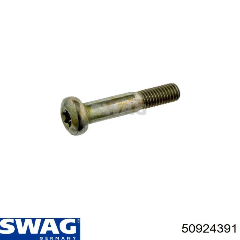 Болт крепления передней шаровой опоры к цапфе Swag 50924391 цена, от 1.39 USD