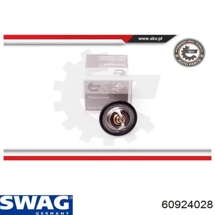 Термостат в корпусе Swag 60924028 цена, от 7.98 USD
