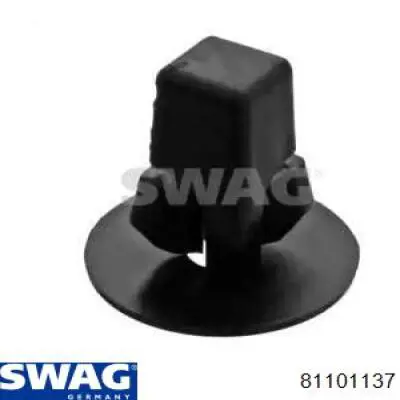 81101137 Swag