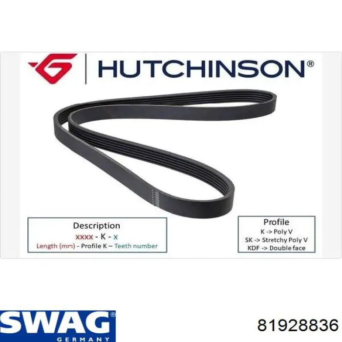 Купить 81928836 Swag Ремень генератора