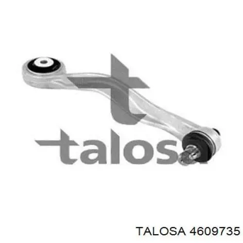 4609735 Talosa