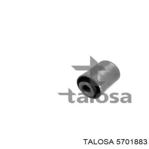 5701883 Talosa bloco silencioso interno traseiro de braço oscilante transversal