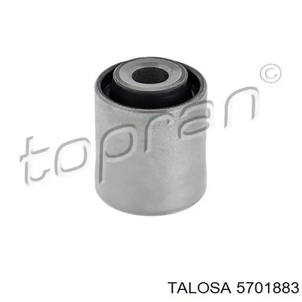 5701883 Talosa