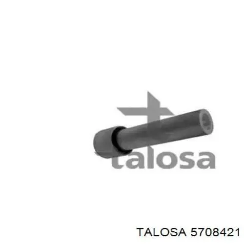 Сайлентблок заднего нижнего рычага 5708421 Talosa