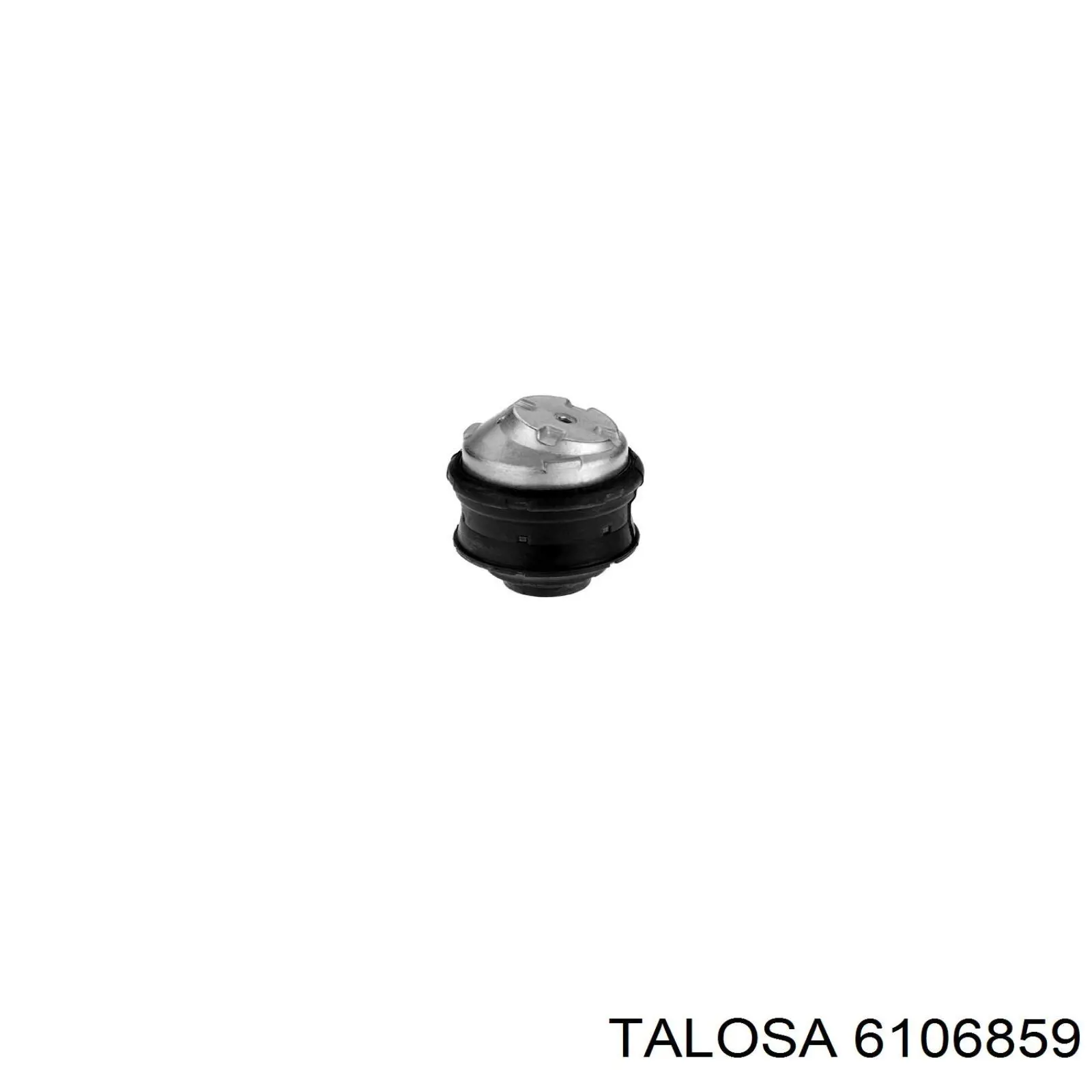 6106859 Talosa
