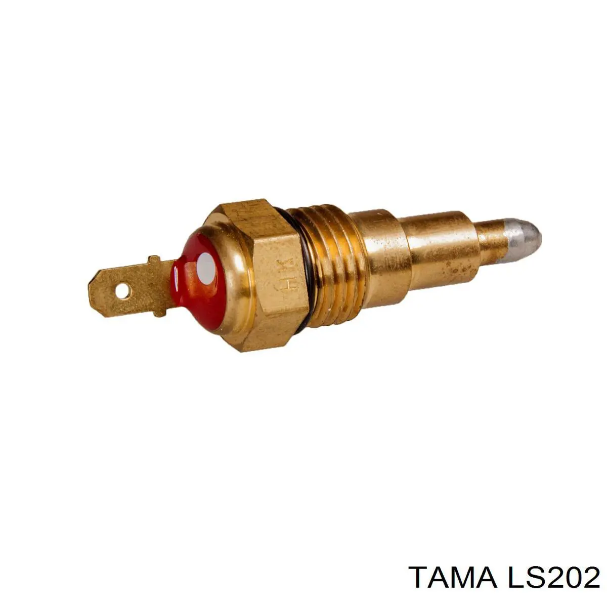  LS202 Tama