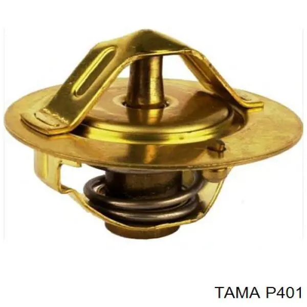  P401 Tama