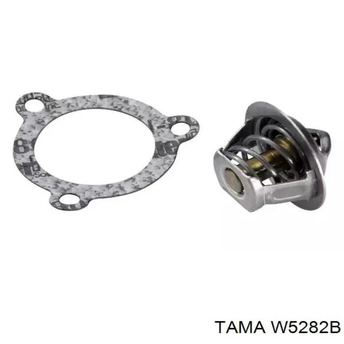 W5282B Tama 