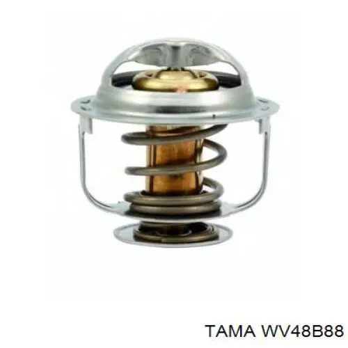WV48B88 Tama термостат
