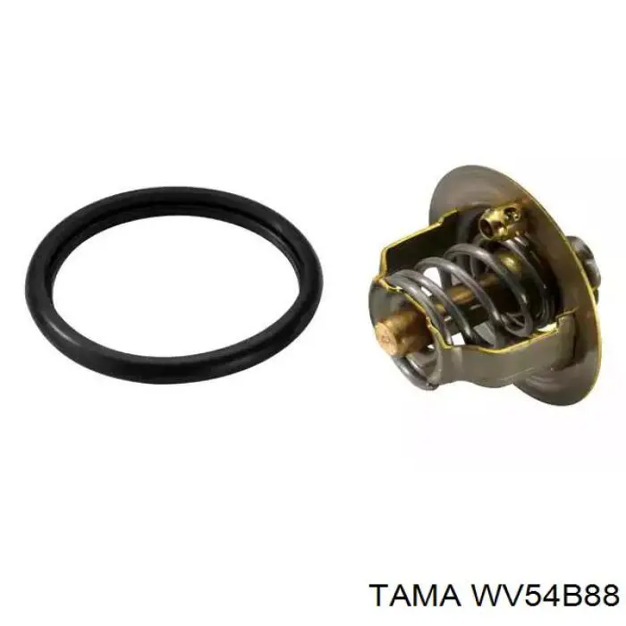 WV54B88 Tama Авто термостат