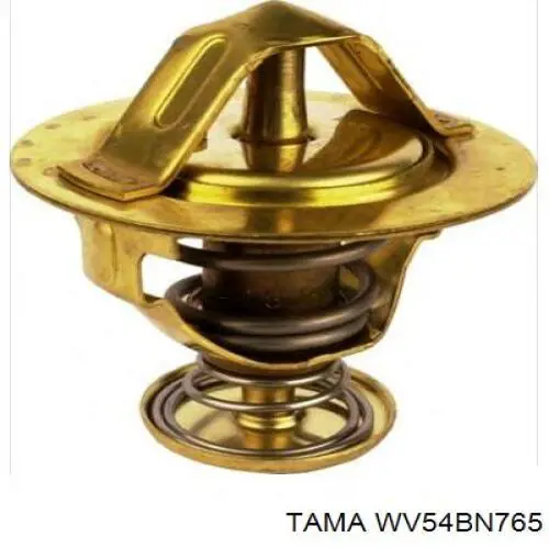 Термостат Tama WV54BN765
