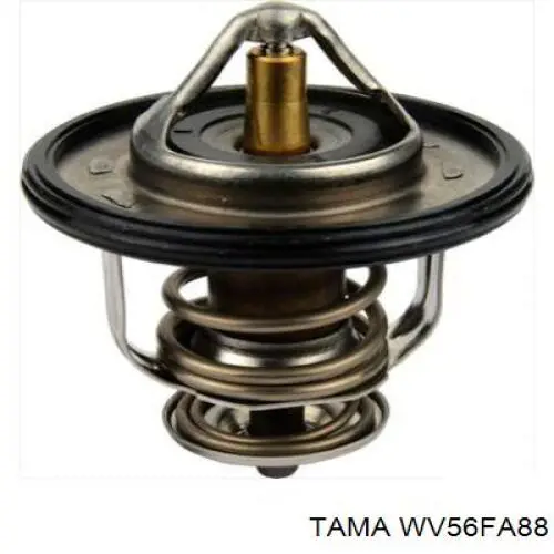 WV56FA88 Tama