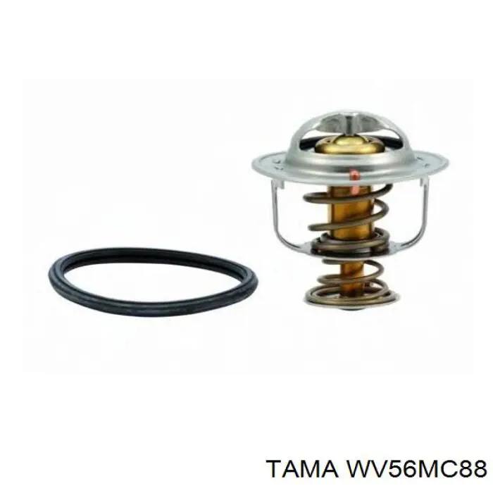 WV56MC88 Tama термостат